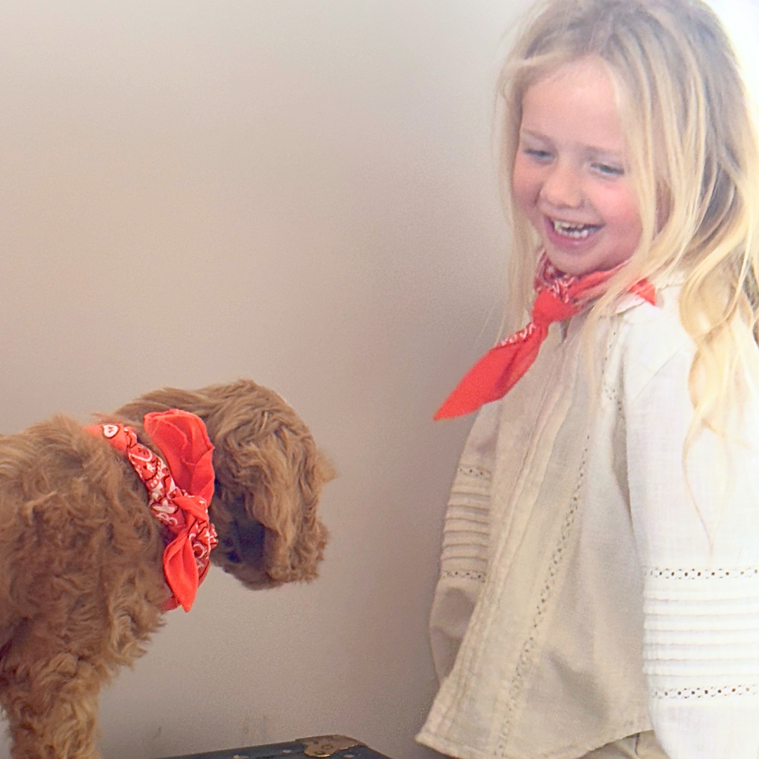 hond en kind dragen oranje bandana