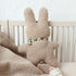 Rocky rabbit