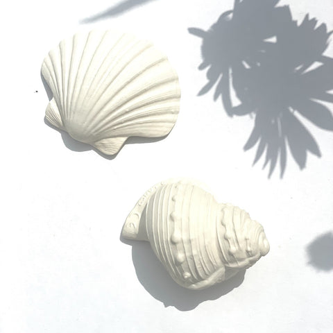 BIJTSPEELGOED - SHELL ROUND