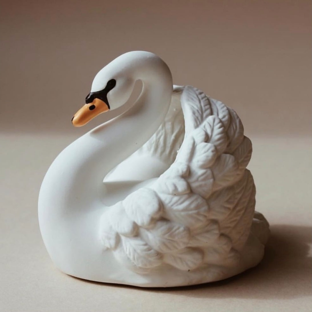 zwaan voor in bad