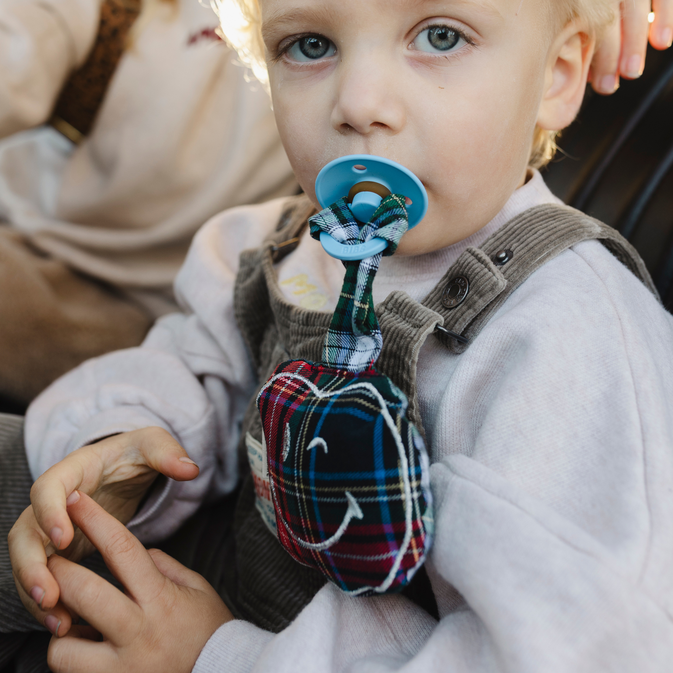 PACIFIER CLOTH POMME | PETIT TARTAN BLEU