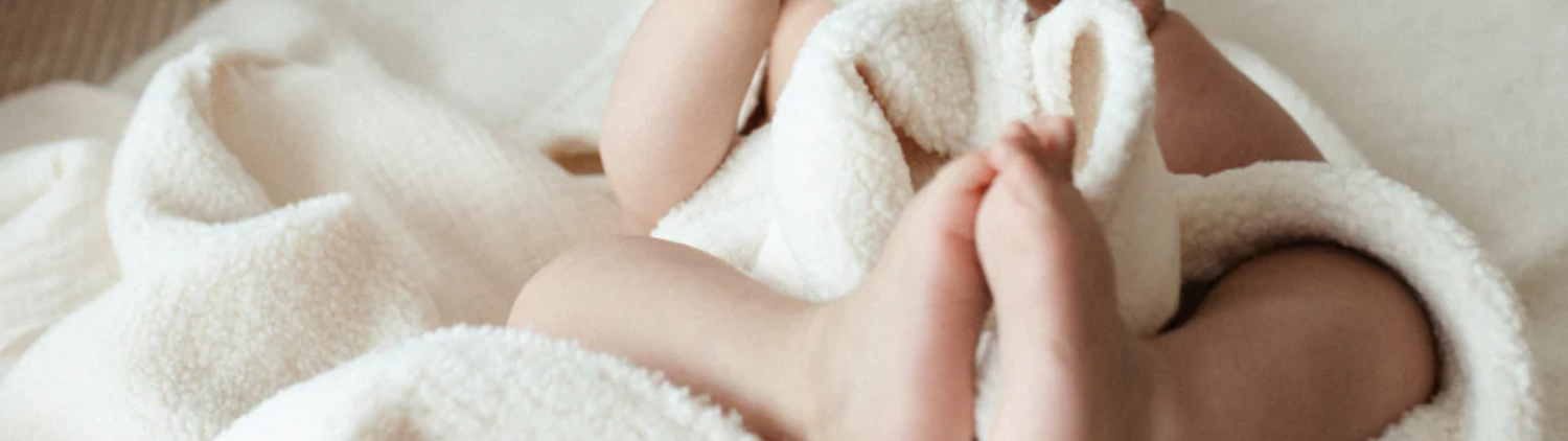 THE TEDDY COLLECTION