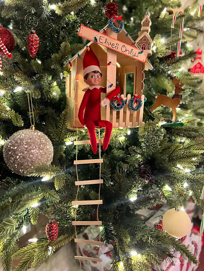 A FAMILY TRADITION | ELF ON TE SHELF