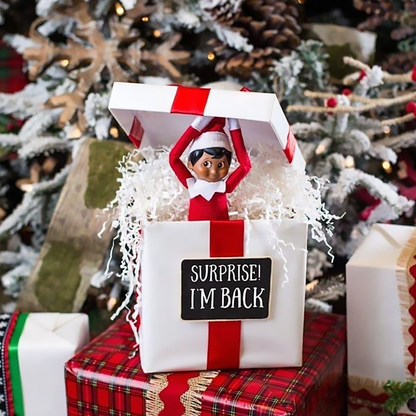 A FAMILY TRADITION | ELF ON TE SHELF