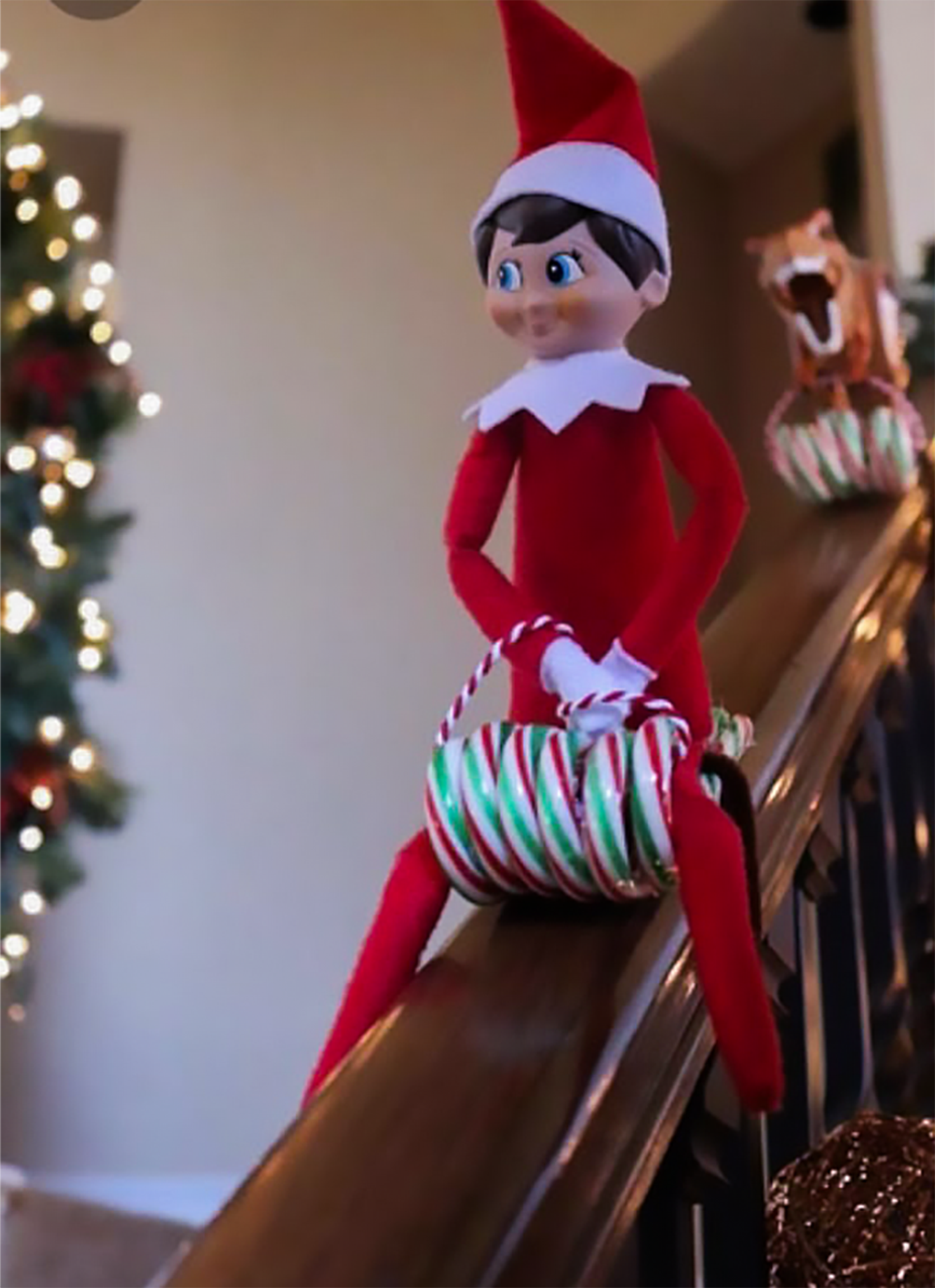 A FAMILY TRADITION | ELF ON TE SHELF
