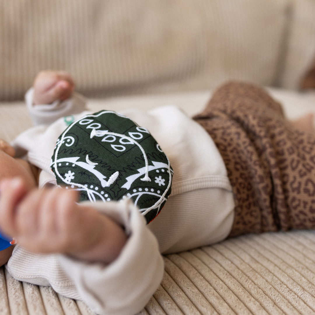 PACIFIER CLOTH - POMME -  BANDANA GOING GREEN