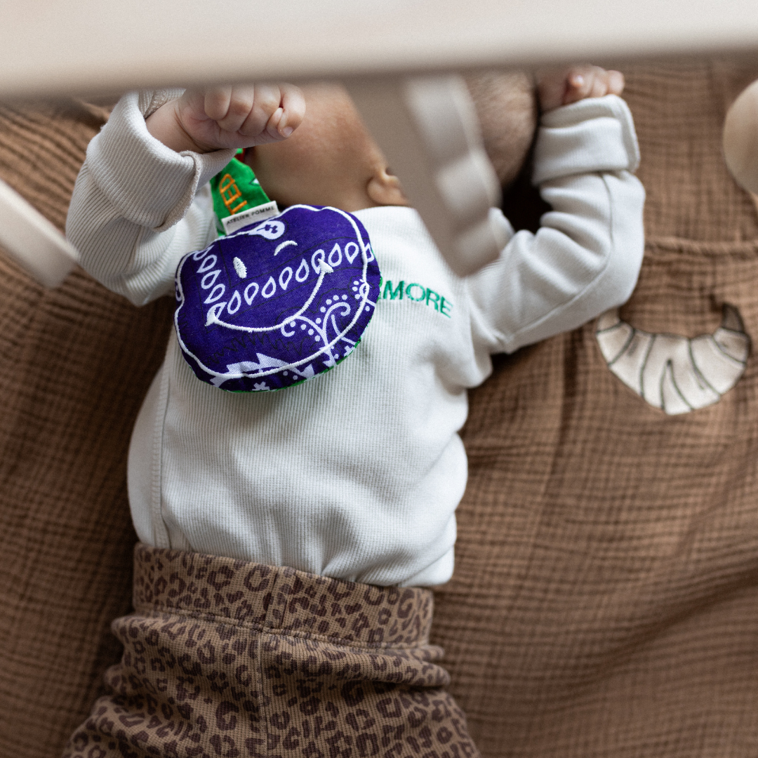 PACIFIER CLOTH - POMME -  BANDANA PURPLE RAIN