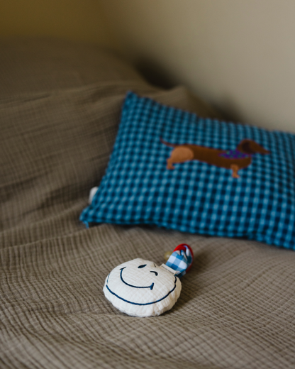 CUSHION VICHY | MISTY BLUE