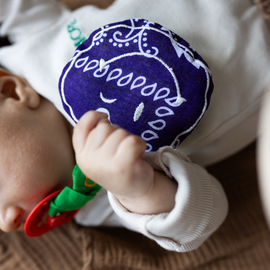 PACIFIER CLOTH - POMME -  BANDANA PURPLE RAIN