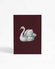 POST CARD | SWANS NIGHT