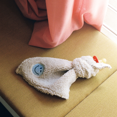 Pacifier cloth cuddle | Teddy