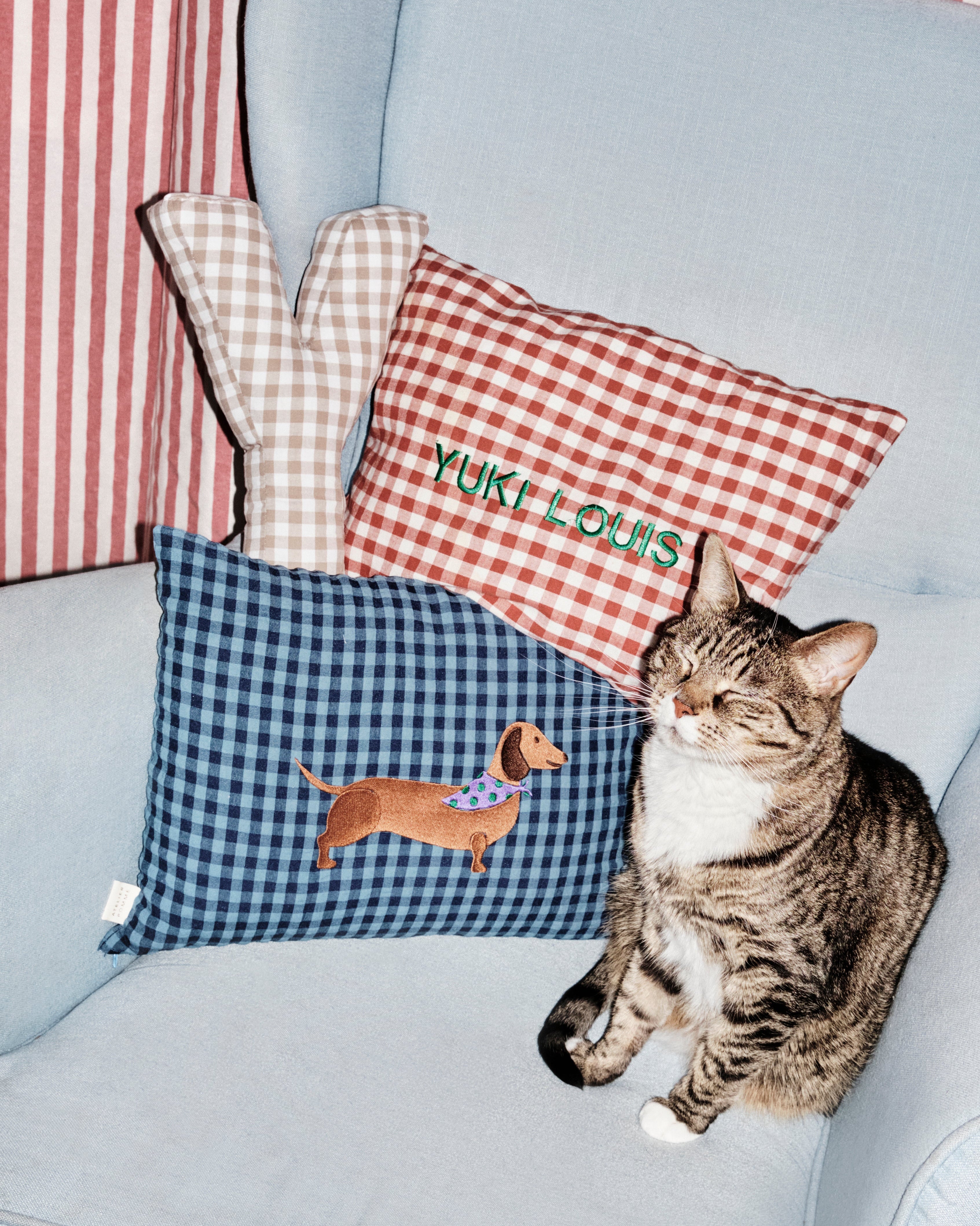 KUSSEN: CHECKED | MISTER MARINE 