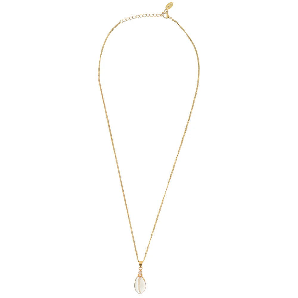 Gold chain shell pendant