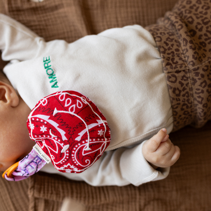 baby met speen en speendoekje met tekst