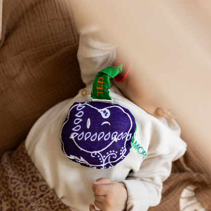 baby met speen en speendoekje met tekst. 