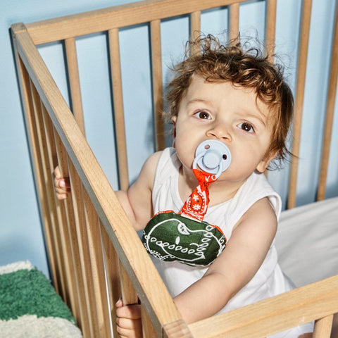 PACIFIER CLOTH  POMME | BANDANA MORNING MOSS
