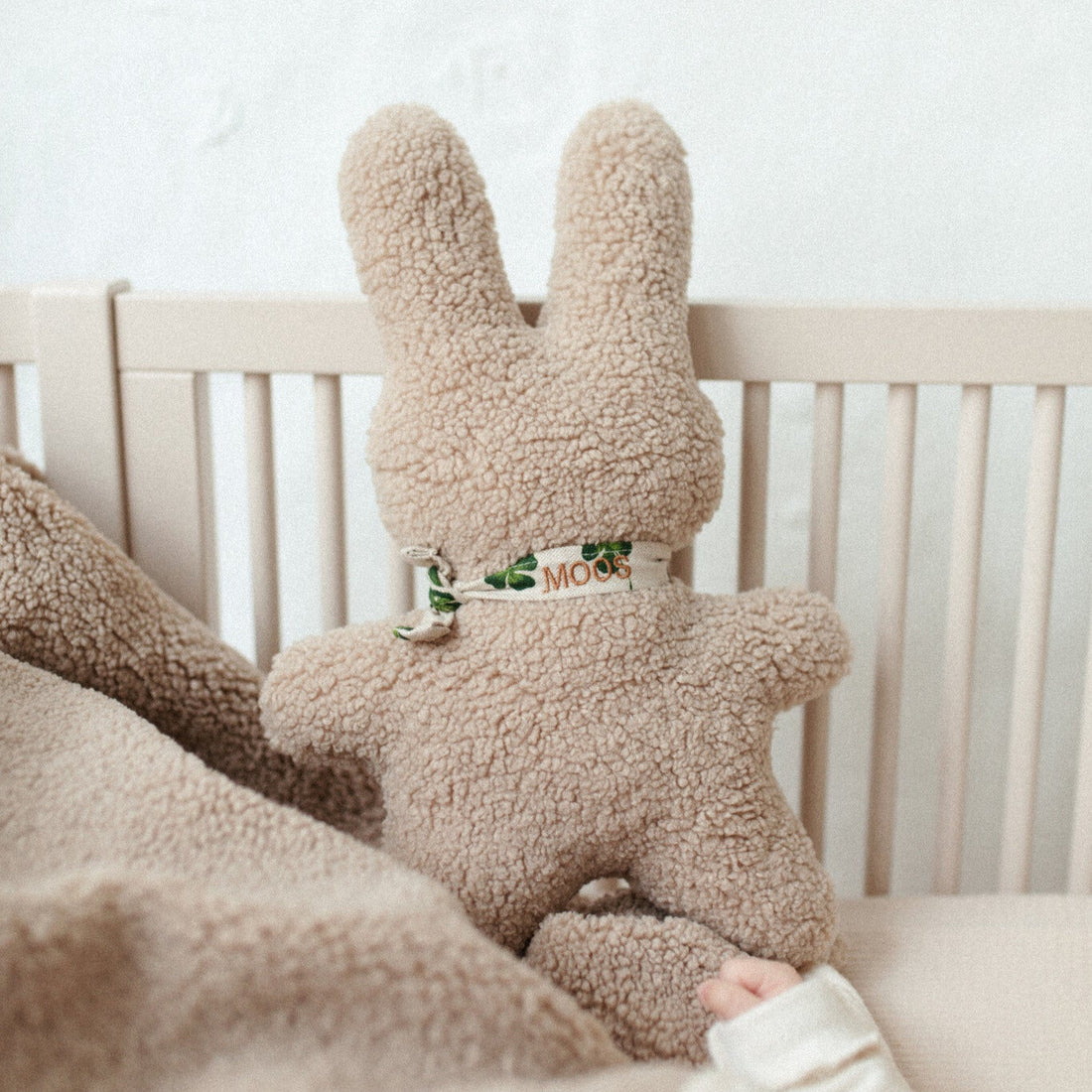 Rocky rabbit 