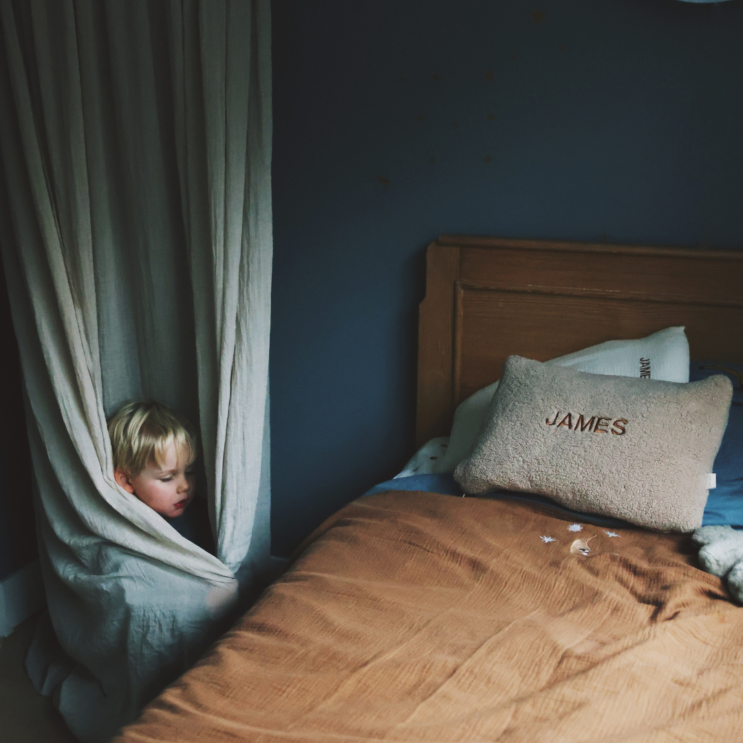 Teddy kussen 