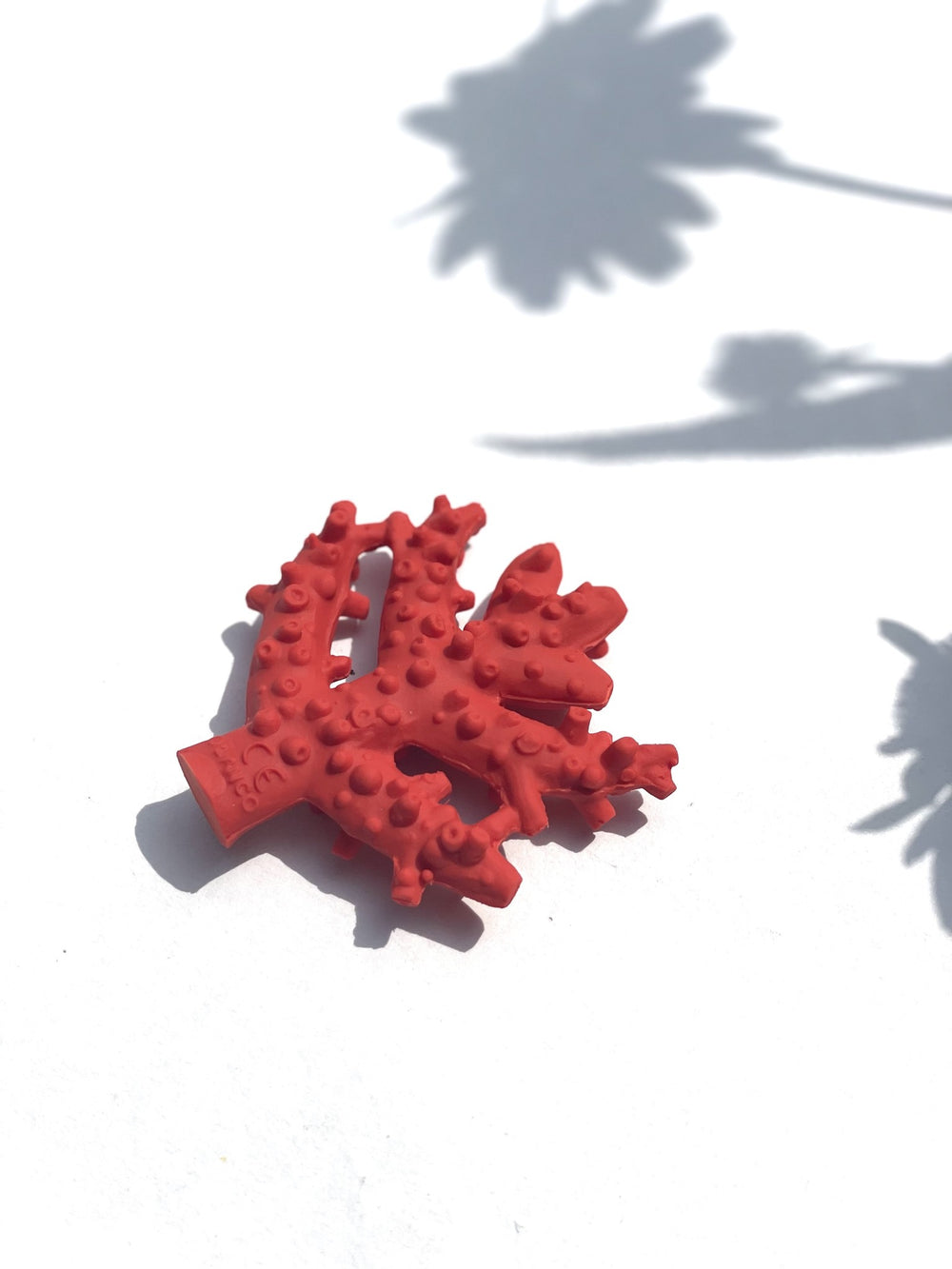 BIJTSPEELGOED | CORAL