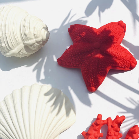 TEETHING TOY | STARFISH