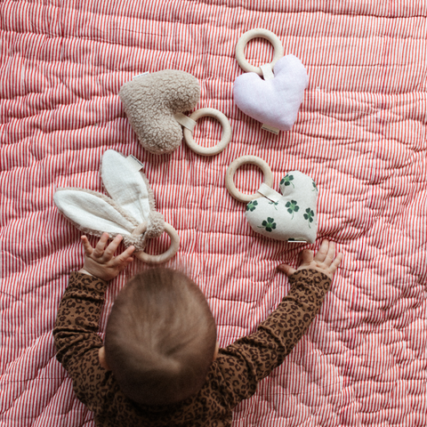 BIJTRING TEDDY BUNNY EARS