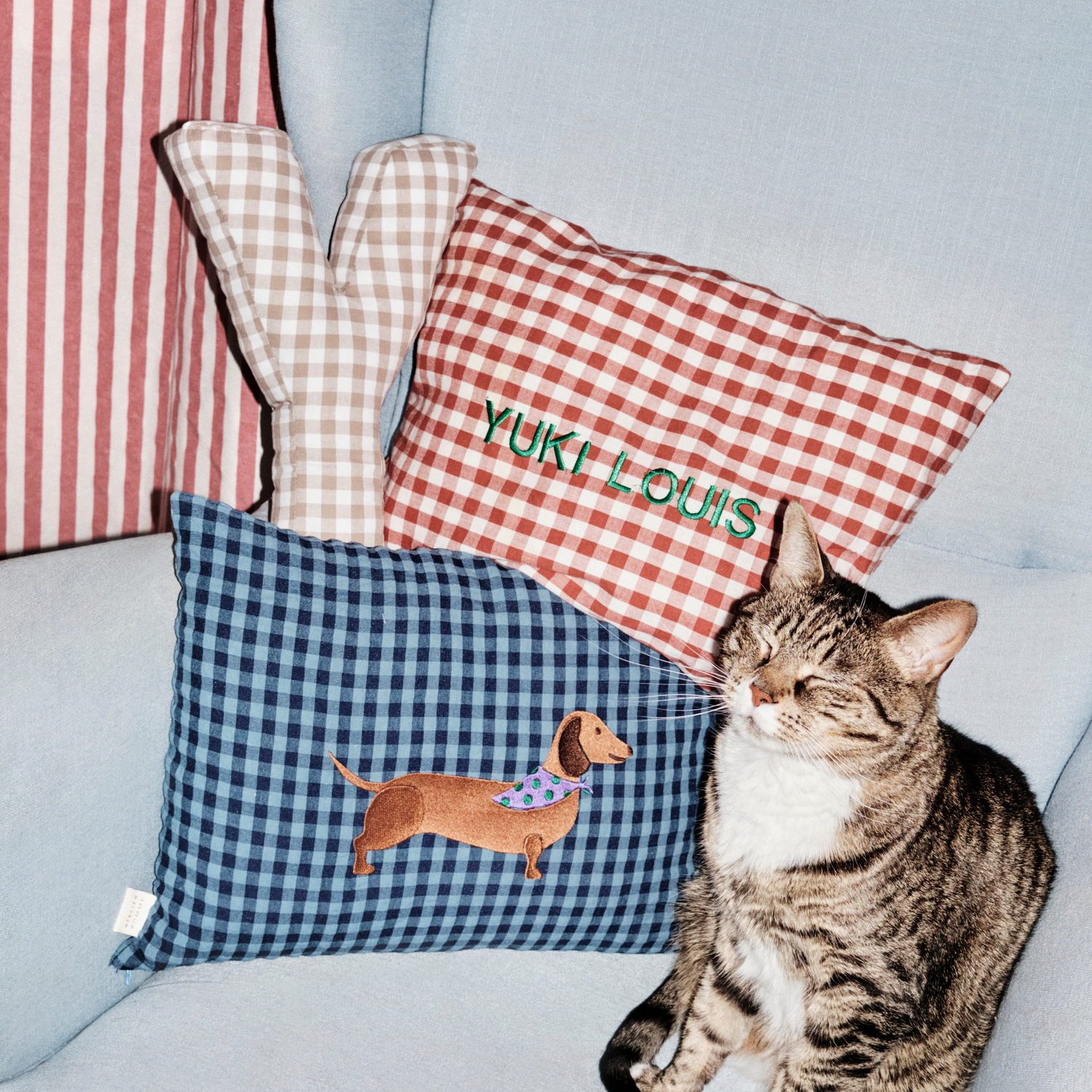 KUSSEN: CHECKED | MISTER MARINE 