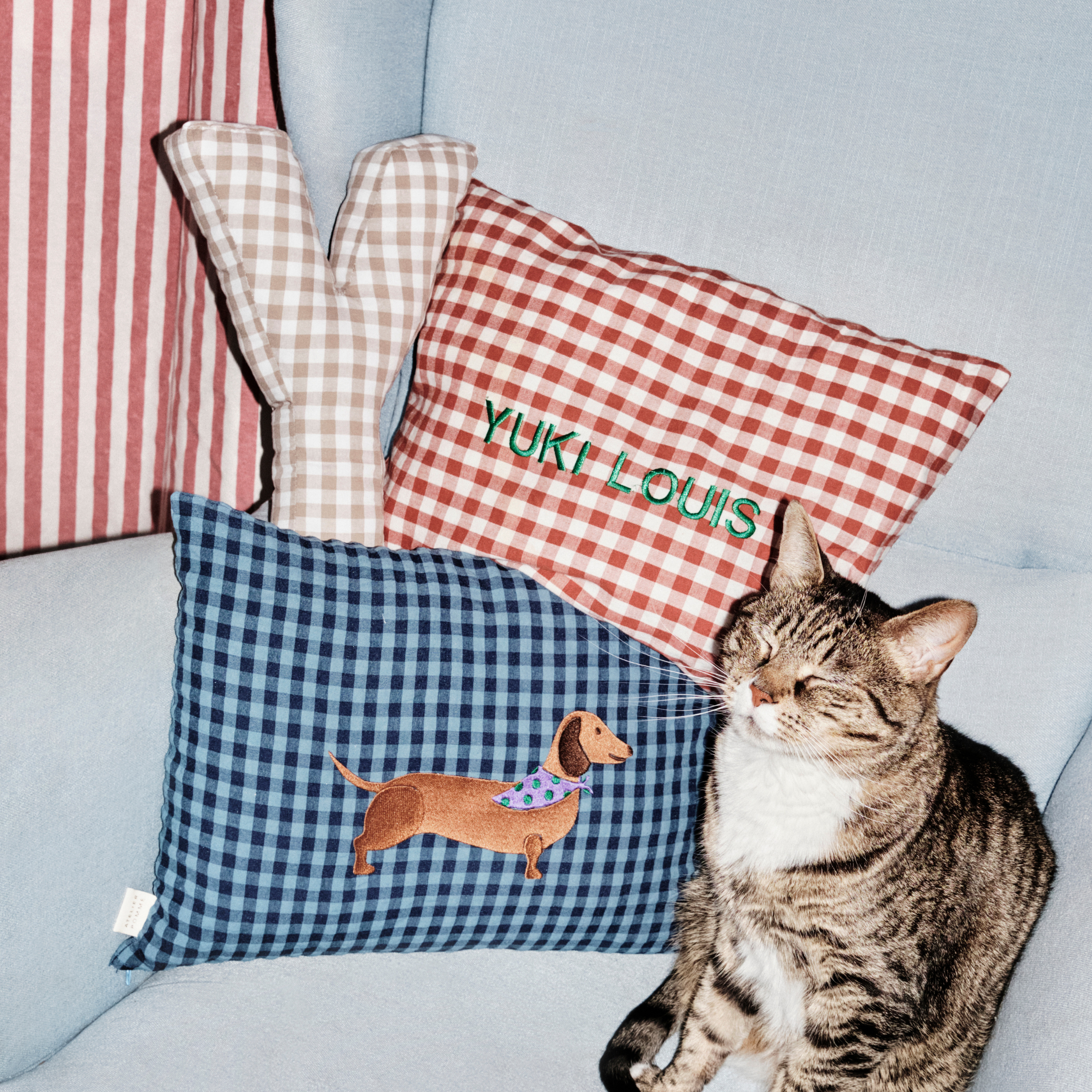 KUSSEN: CHECKED | MISTER MARINE 