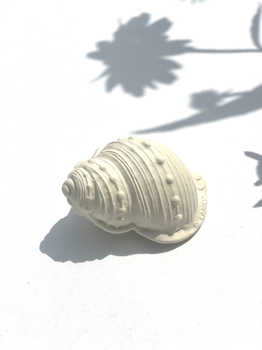 TEETHING TOY - SHELL ROUND