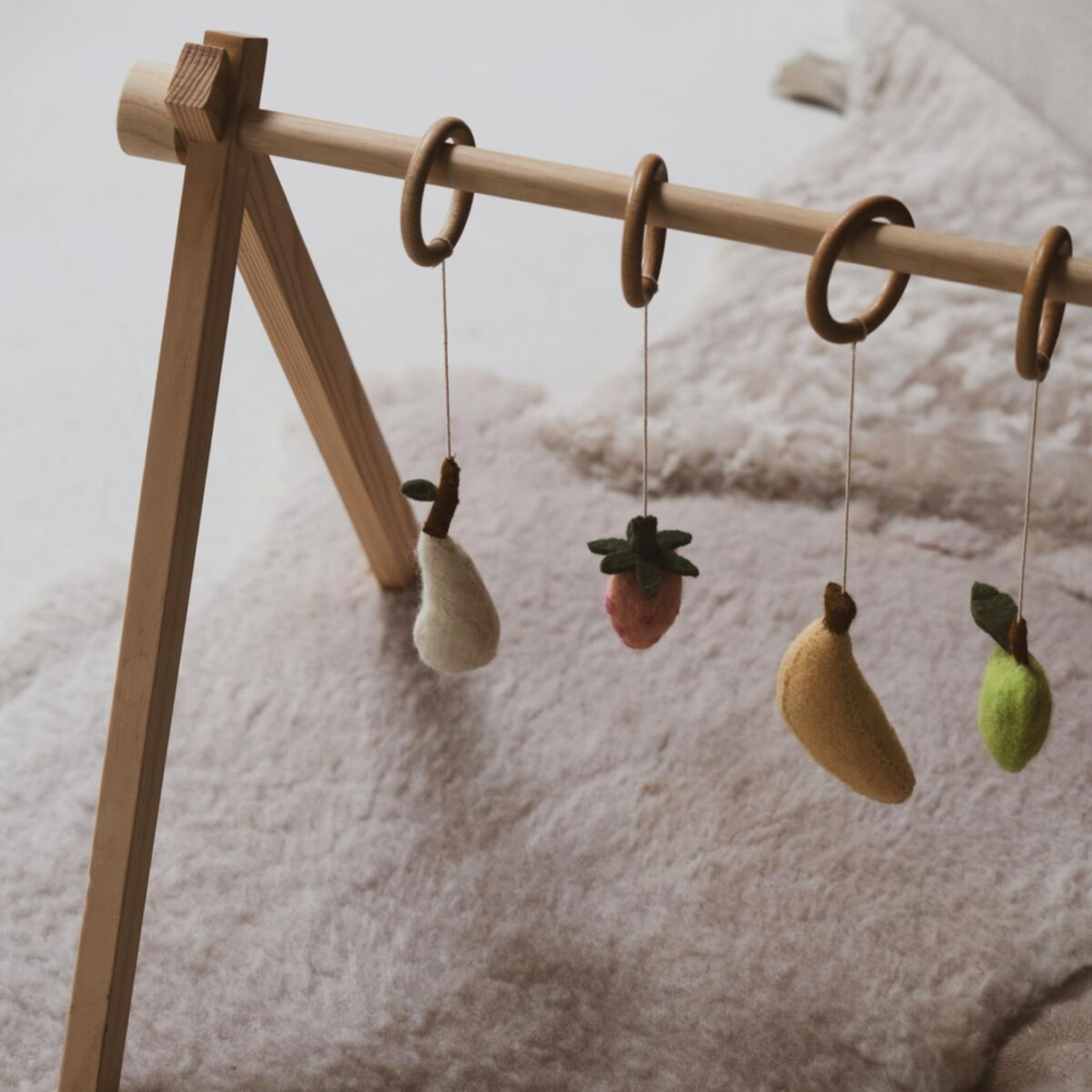 Activity Arch Toys | Fruit