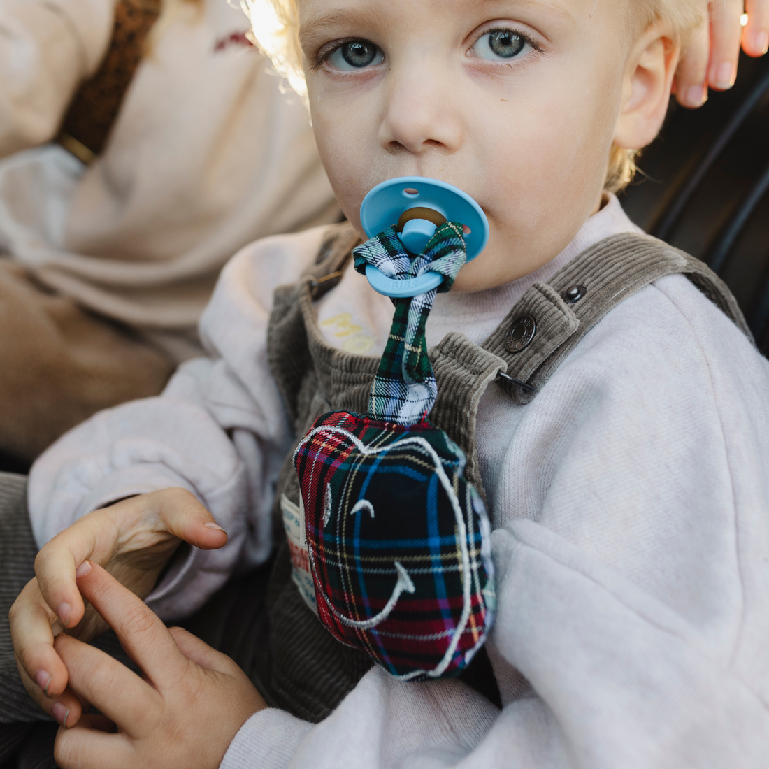 PACIFIER CLOTH POMME | PETIT TARTAN BLEU