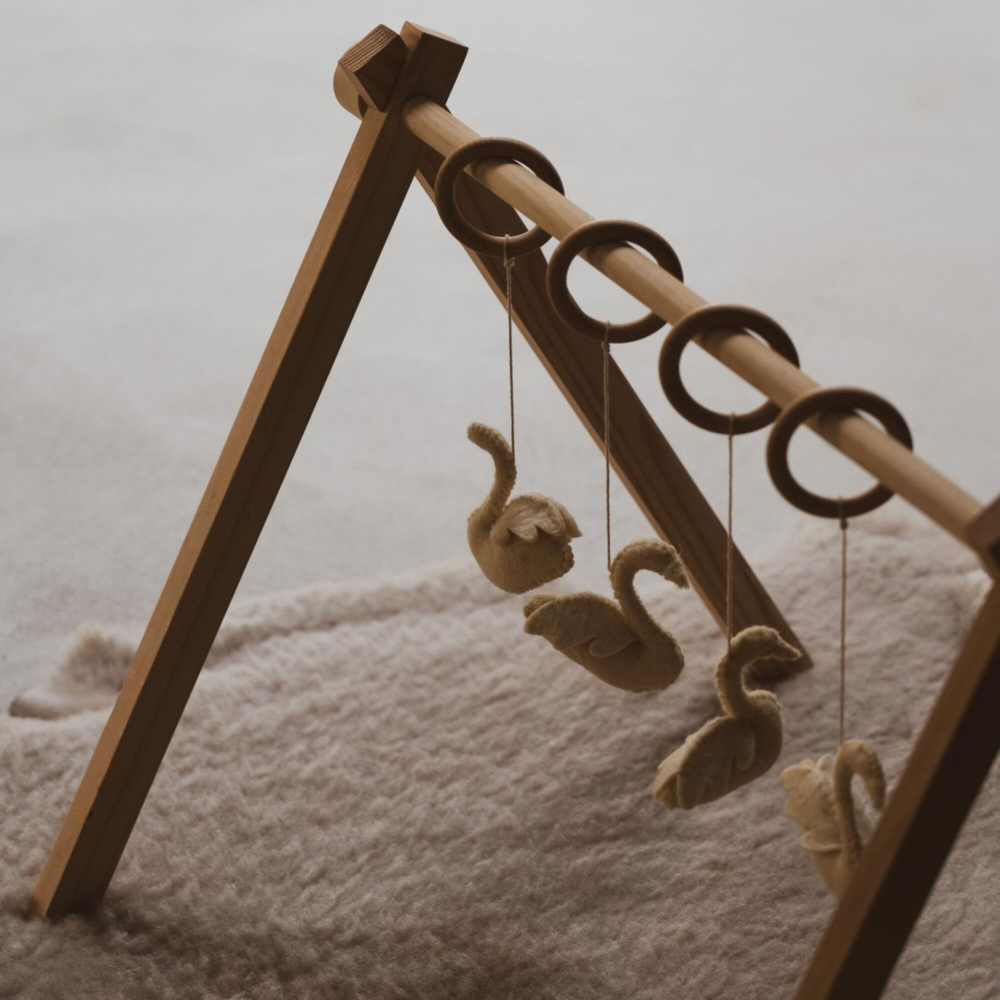 Activity Arch Toys | Swans